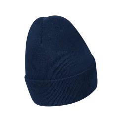 Front Page -Nike Golf Sales DJ6224 410 PHSBH001 2000 1000 1500x