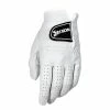 Srixon Premium Cabretta Leather Mens Golf Glove -Nike Golf Sales Premium2021Glove1000 1500x