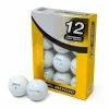 Titleist Pro V1 Grade B Recycled / Lake Golf Balls 2 Titleist Pro V1 Grade B Recycled / Lake Golf Balls -Nike Golf Sales TitleistPROV1GradeB 1500x